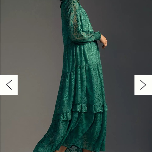 The Marais Maxi Dress: Satin-Burnout Edition in Green - Picture 3 of 7